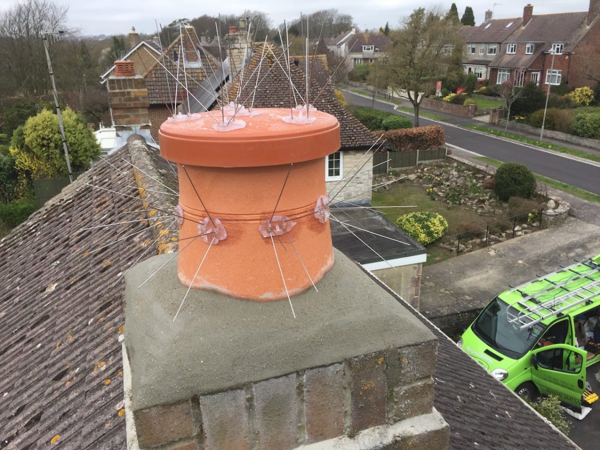 New pot and C-cap with gull spikes